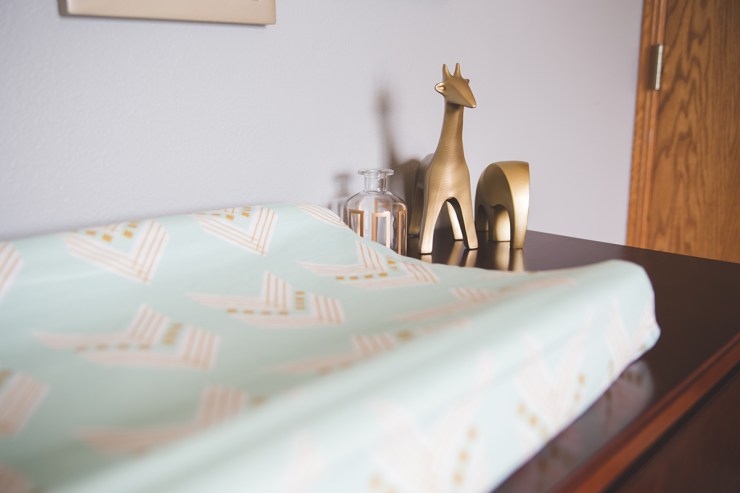 Milwaukee lifestyle newborn family photography